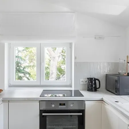 Apartment In Arbanija With Sea View, Terrace, Air Conditioning, Wifi 5139-5 Trogir