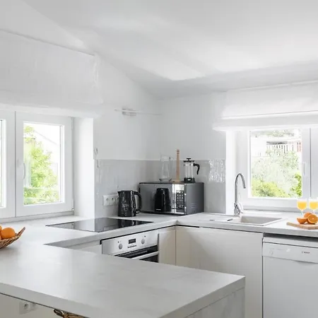 Lägenhet In Arbanija With Sea View, Terrace, Air Conditioning, Wifi 5139-5